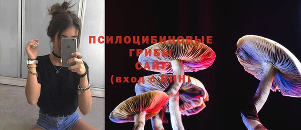 винт Струнино