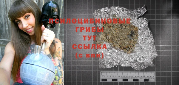jwh Сосновоборск