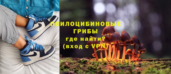jwh Сосновоборск