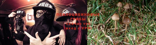 гидропоника Сосновка