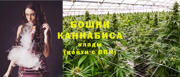 гидропоника Сосновка