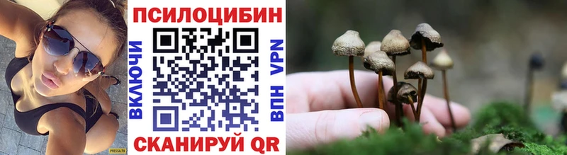 хочу наркоту  Сосновка  площадка Telegram  Псилоцибиновые грибы прущие грибы 